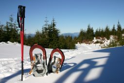 Escursioni con le racchette da neve nel Winter Wonderland