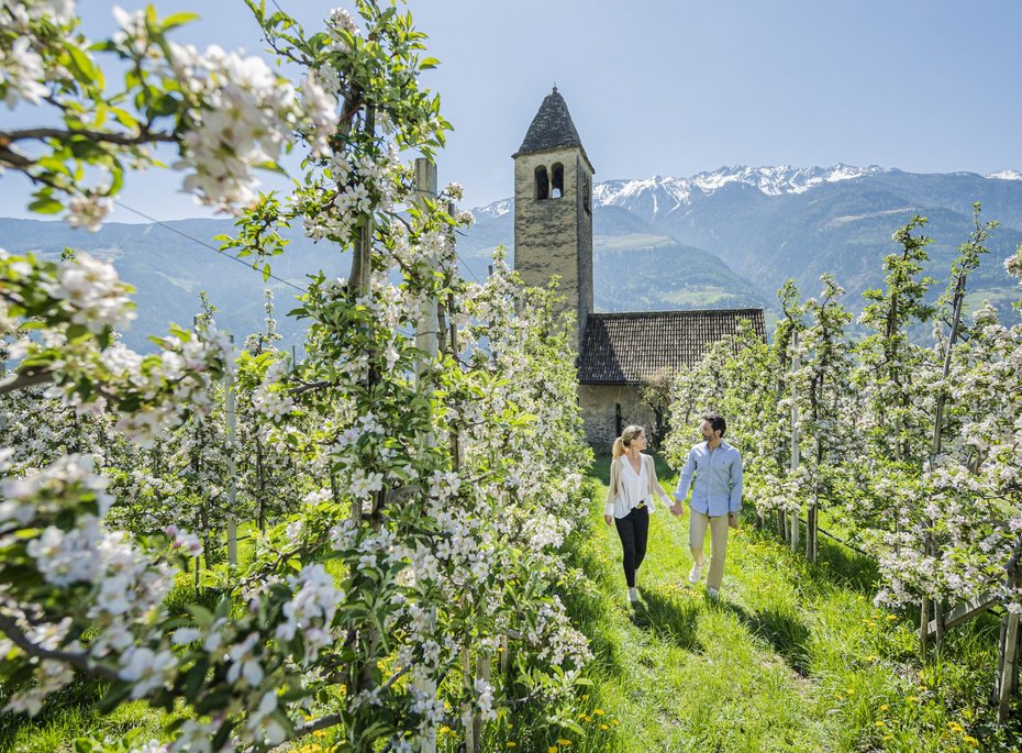 Luxuriöses 5-Sterne-Wellnesshotel Südtirol, Naturns Luxuriöses 5-Sterne-Wellnesshotel Südtirol, Naturns