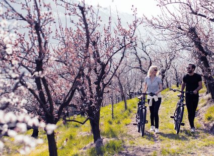 Blüten E-Bike Genusstage