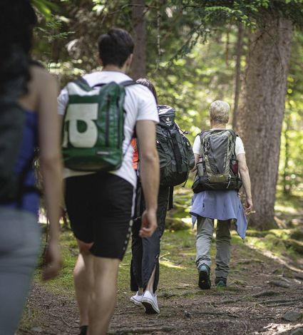 A small group of hikers walks along a forest trail with backpacks.