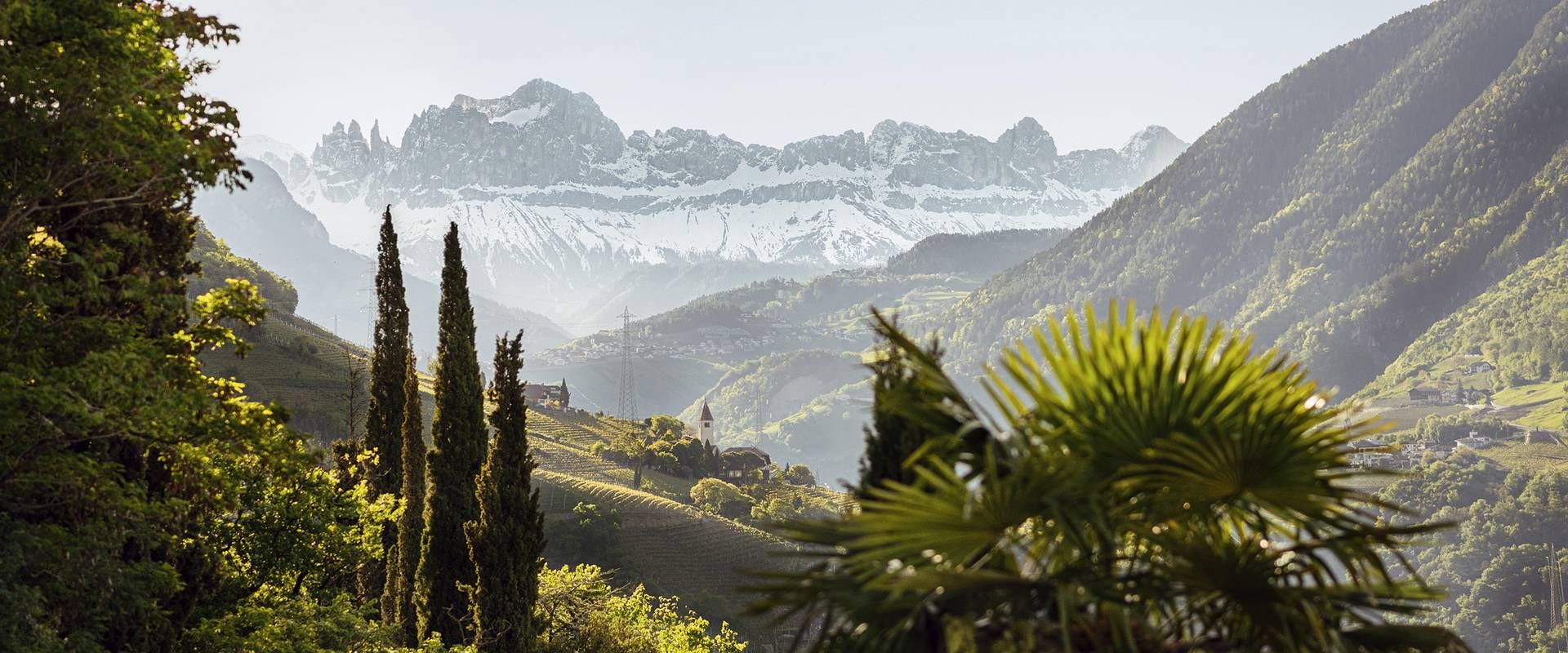 Un paesaggio montano con cime innevate, colline verdi e cipressi alti visti oltre il giardino.