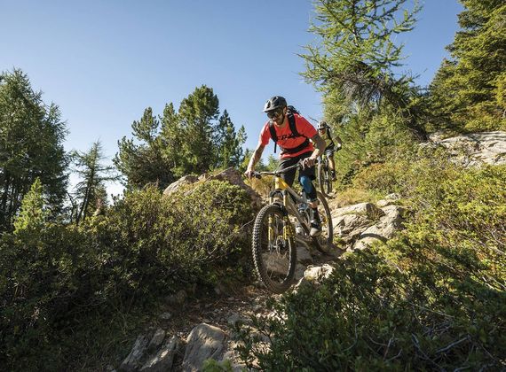 Ein Mountainbiker fährt auf einem steinigen Trail durch felsiges Gelände mit Kiefern und Büschen.
