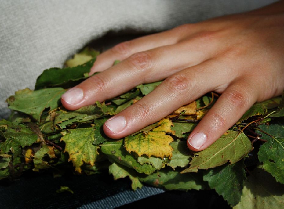 Eine Hand liegt auf frischen Kräutern und Blättern während einer Wellnessanwendung.