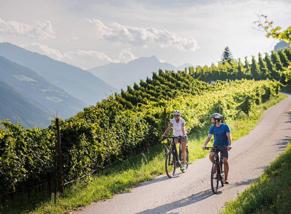 Radtour durch Weinberge in Naturns Zwei Radfahrer fahren auf einer kurvigen Straße zwischen grünen Weinbergen mit Bergblick.