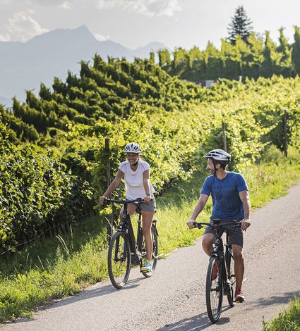 Zwei Radfahrer fahren auf einer asphaltierten Straße durch Weinberge mit Bergen im Hintergrund.