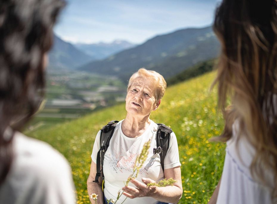Eine ältere Frau spricht mit zwei Personen auf einem Wanderweg in den Bergen.