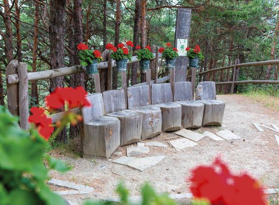 Mehrere Holzsitze mit roten Blumen stehen an einem Themenweg im Wald.