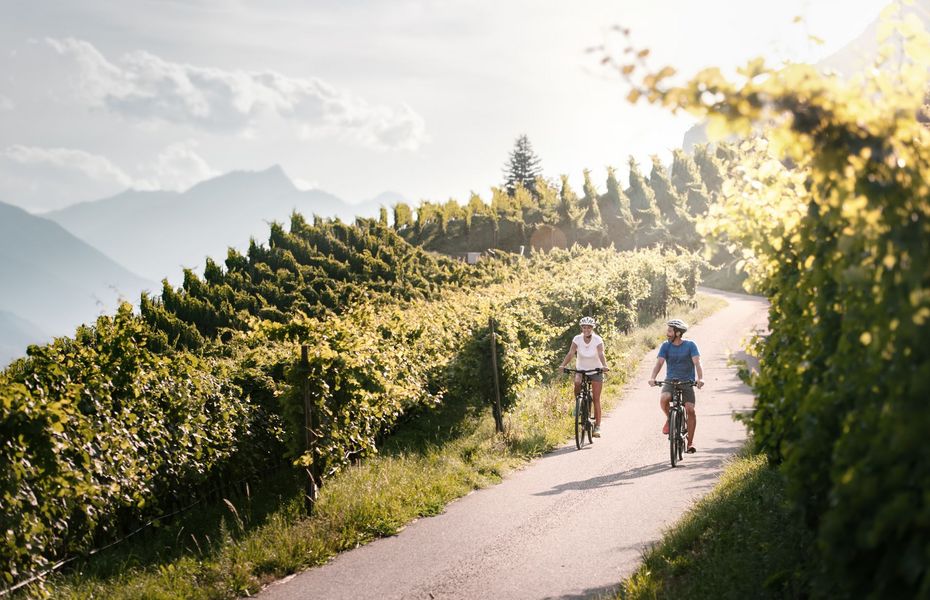 Radfahren im Wellnesshotel in Naturns Zwei Radfahrer fahren auf einem sonnigen Weg durch die Weinberge mit Bergen im Hintergrund.