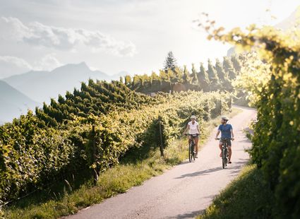 Zwei Radfahrer fahren auf einem sonnigen Weg durch die Weinberge mit Bergen im Hintergrund.