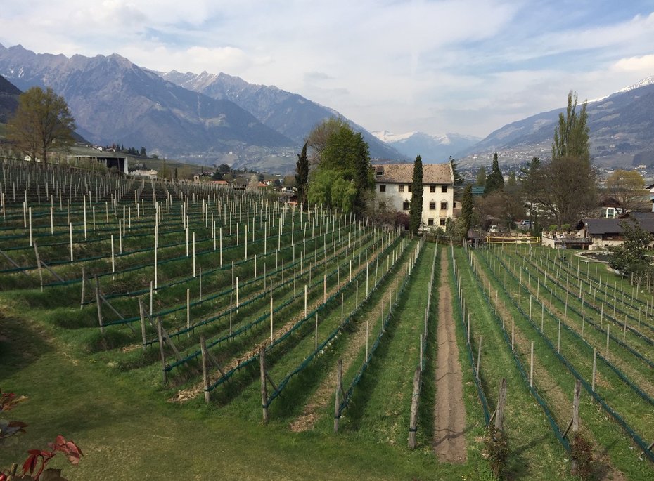 Luxuriöses 5-Sterne-Wellnesshotel Südtirol, Naturns Luxuriöses 5-Sterne-Wellnesshotel Südtirol, Naturns
