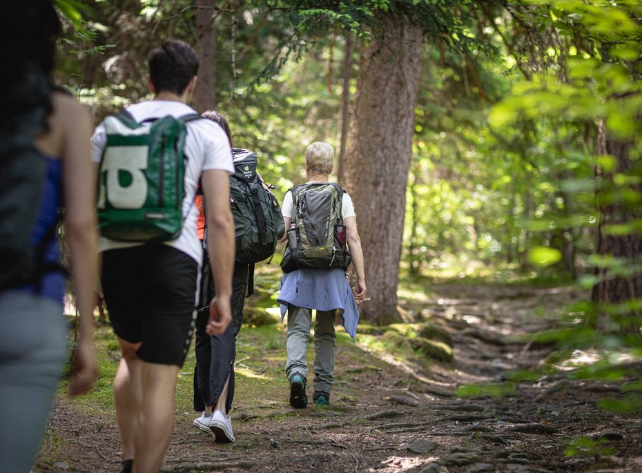 Wandergruppe im Wald