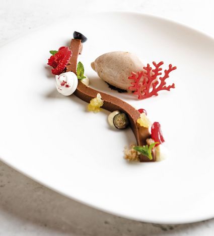 Un dessert raffinato è impiattato su un piatto bianco con cioccolato, frutta e una pallina di crema.