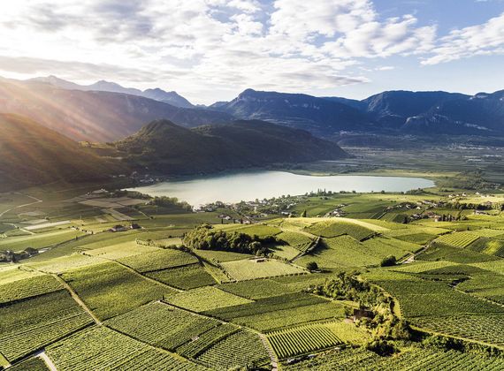 La luce del sole illumina vigneti terrazzati con un lago e le montagne sullo sfondo vicino a Naturno, in Alto Adige.