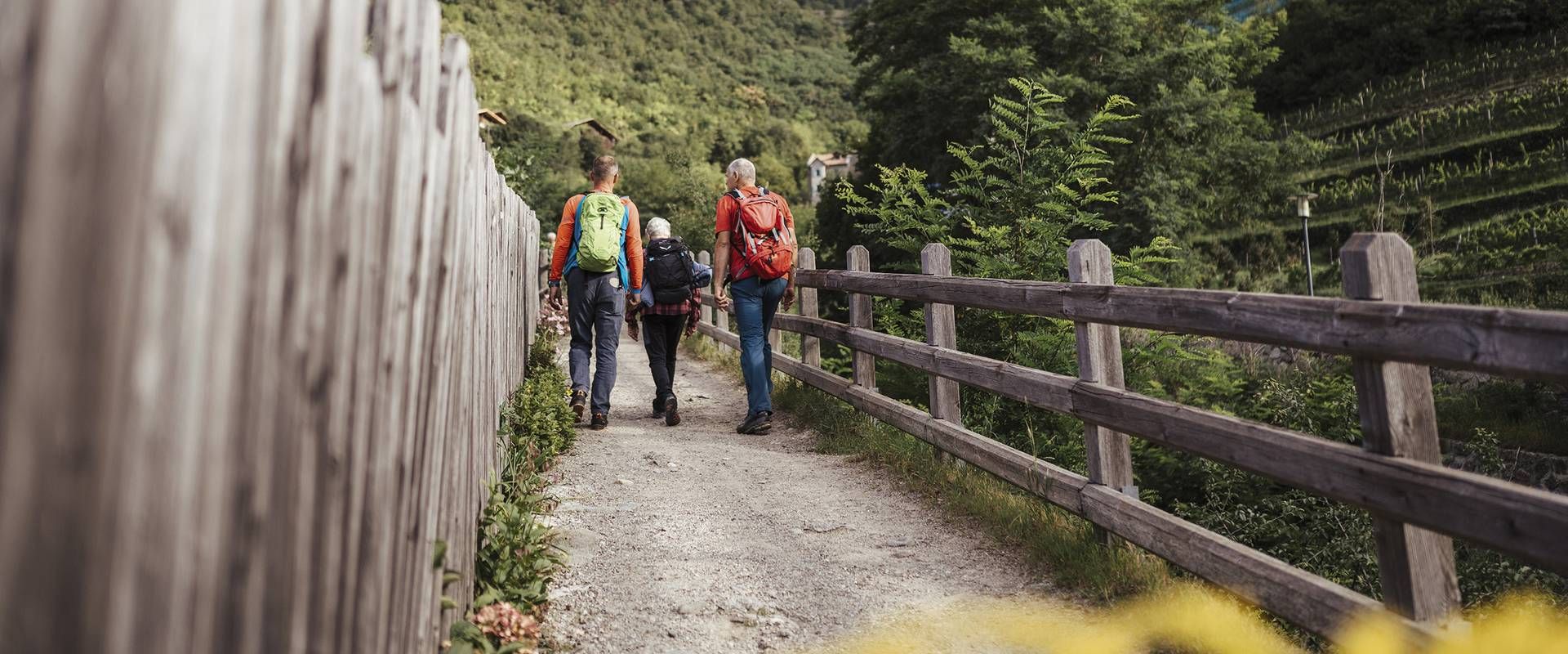 Mehrere Wanderer gehen auf einem schmalen Weg am Hang entlang, mit Geländer und steilen Wein- oder Terrassenhängen im Hintergrund.