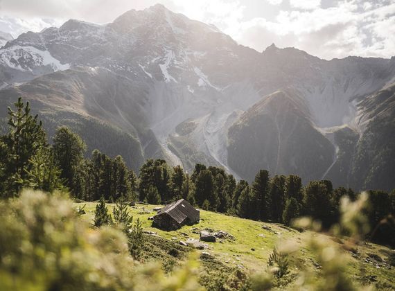 Eine alpine Berglandschaft mit Wiesen, Nadelbäumen und einer kleinen Hütte im Vordergrund.
