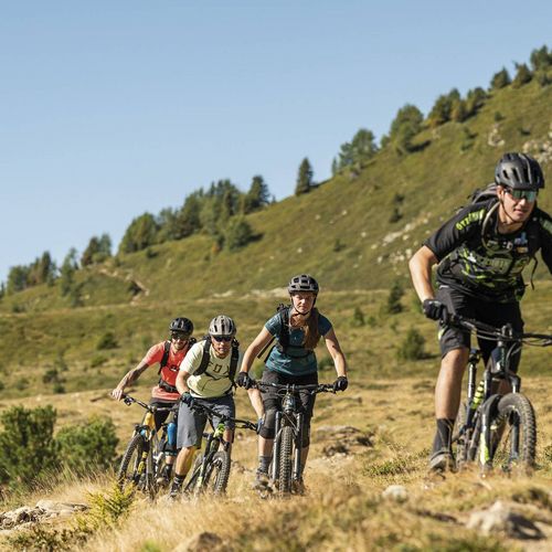 Vier Mountainbiker fahren über einen sonnigen Almweg in hügeliger Landschaft.