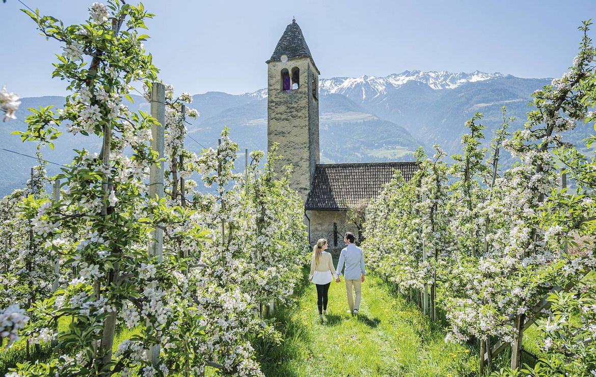 Ein Paar geht zwischen blühenden Obstbäumen auf eine kleine Kirche mit Bergpanorama zu.