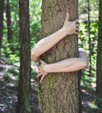 Una persona abbraccia il tronco di un albero in una foresta con entrambe le braccia.