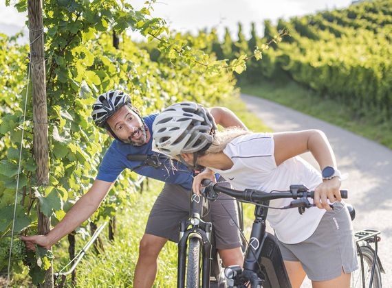 Zwei Radfahrer halten an einem Weinbergweg und lehnen sich über ihre Fahrräder.