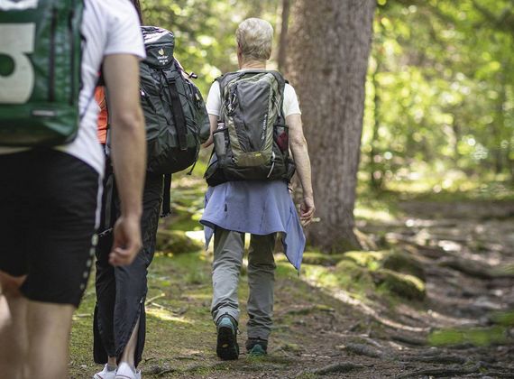 Several hikers walk along a forest trail with backpacks in a green woodland setting.