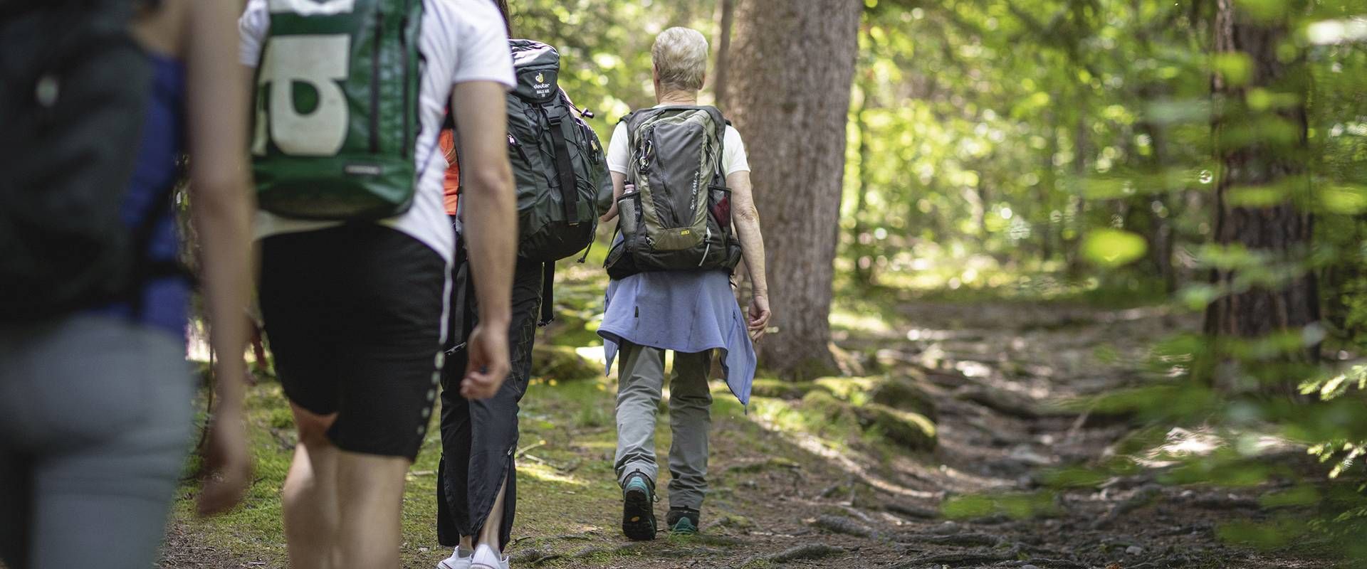 Several hikers walk along a forest trail with backpacks in a green woodland setting.