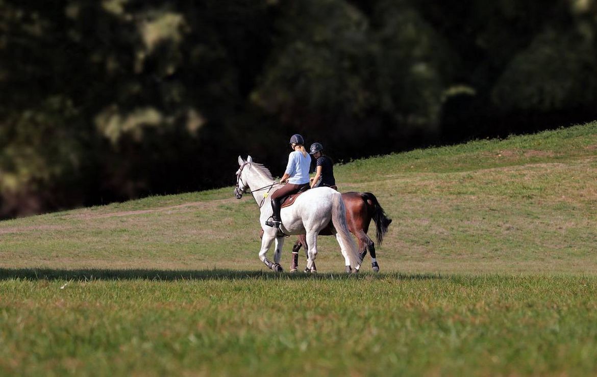 Zwei Personen reiten auf weißen Pferden über eine grüne Wiese am Waldrand.