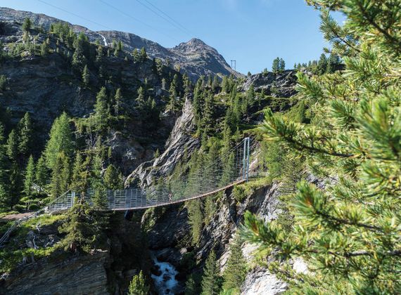 Un ponte sospeso attraversa una gola rocciosa tra pini e ripidi pendii alpini sotto un cielo sereno.