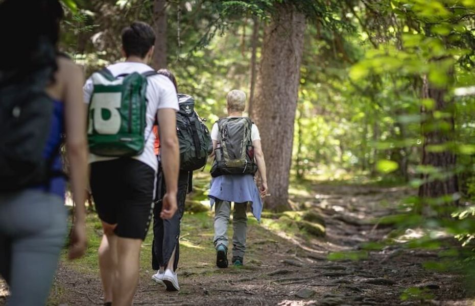 Wandern im Wald beim Preidlhof in Naturns Mehrere Wanderer gehen auf einem schattigen Waldweg durch dichten Wald.