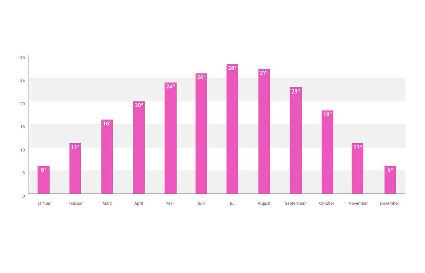 Ein rosa Balkendiagramm zeigt Monatswerte von Januar bis Dezember mit einem Höhepunkt im Juli.