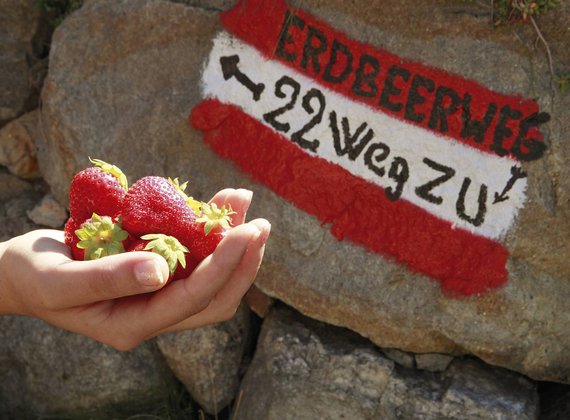 Wanderhotel Vinschgau ► Themenwanderwege Meran, Naturns Wanderhotel Vinschgau ► Themenwanderwege Meran, Naturns