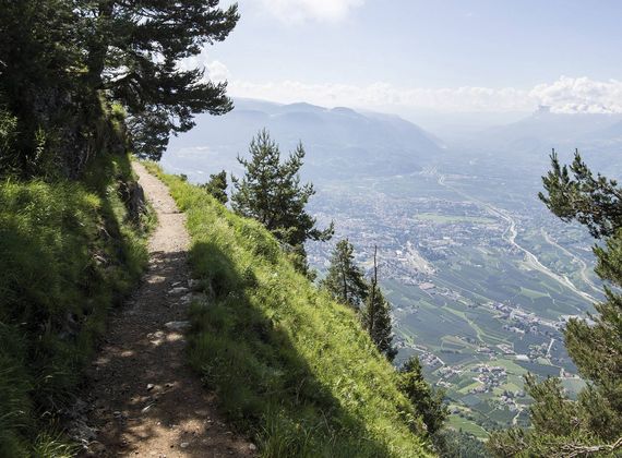 Ein schmaler Wanderweg führt am Hang entlang mit Blick ins Tal und auf die Berge der Texelgruppe.