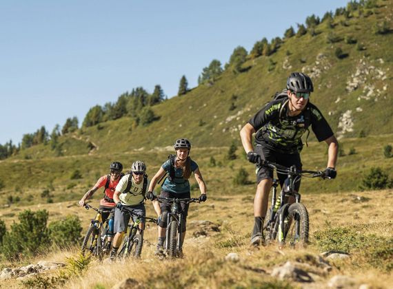 Vier Mountainbiker fahren auf einem grasigen Bergpfad in alpiner Landschaft.