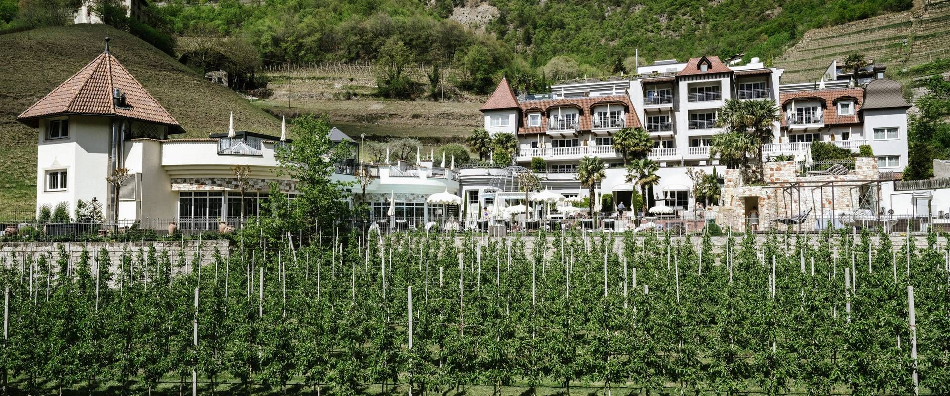 A hillside hotel complex stands above green vineyards on a sunny slope.
