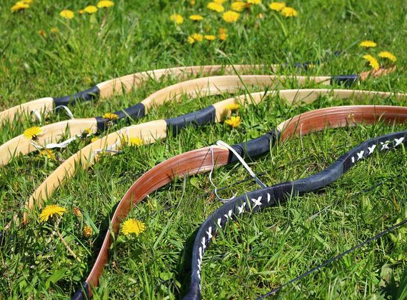 Mehrere gespannte Bögen liegen im Gras zwischen gelben Löwenzahnblüten auf einer Wiese.