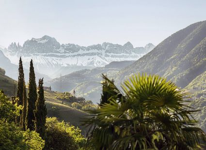 Blick über grüne Hügel auf schneebedeckte Berge und Zypressen in Naturns im Vinschgau.