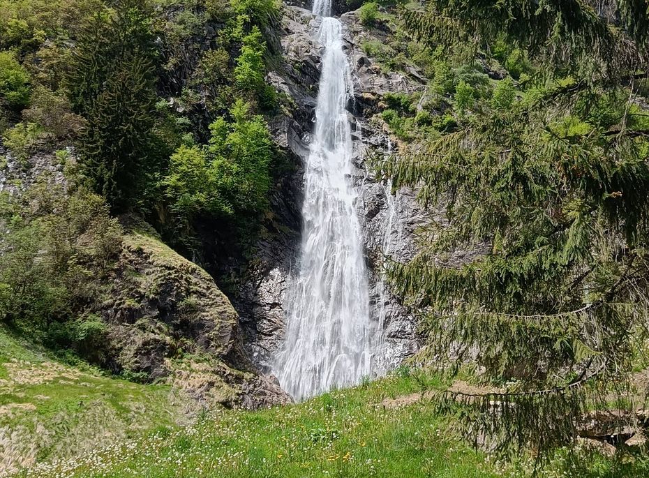 Ein hoher Wasserfall fällt durch dicht bewachsene Felsen in eine grüne Almwiese.