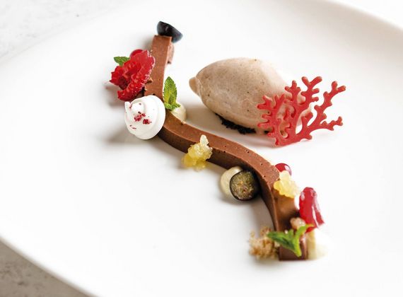 Ein kunstvoll angerichtetes Dessert mit Schokoladenstreifen, Sorbet und dekorativen roten Garnituren auf einem weißen Teller.